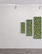 GREEN GOLD SARDINES | framed giclee on canvas print