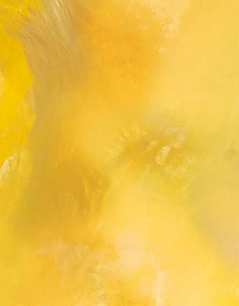 SCREAMING YELLOW ZONKER | framed giclee on canvas print