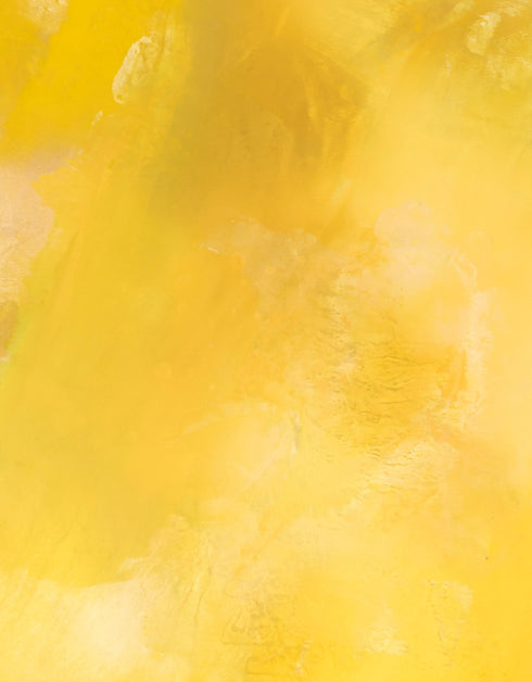 SCREAMING YELLOW ZONKER | framed giclee on canvas print