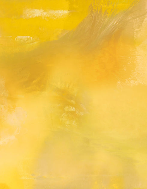 Screaming Yellow Zonker is a Limited Edition Print by Seth B. Minkin, with bold yellow tones and dynamic brushstrokes, capturing an exciting and energetic design.