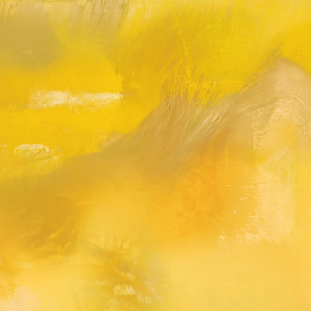 Screaming Yellow Zonker limited edition print by Seth B. Minkin