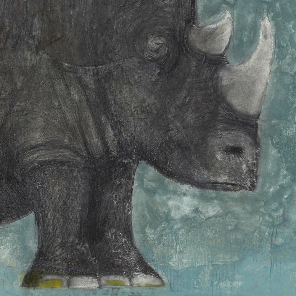 Rhino limited edition print by Seth B. Minkin