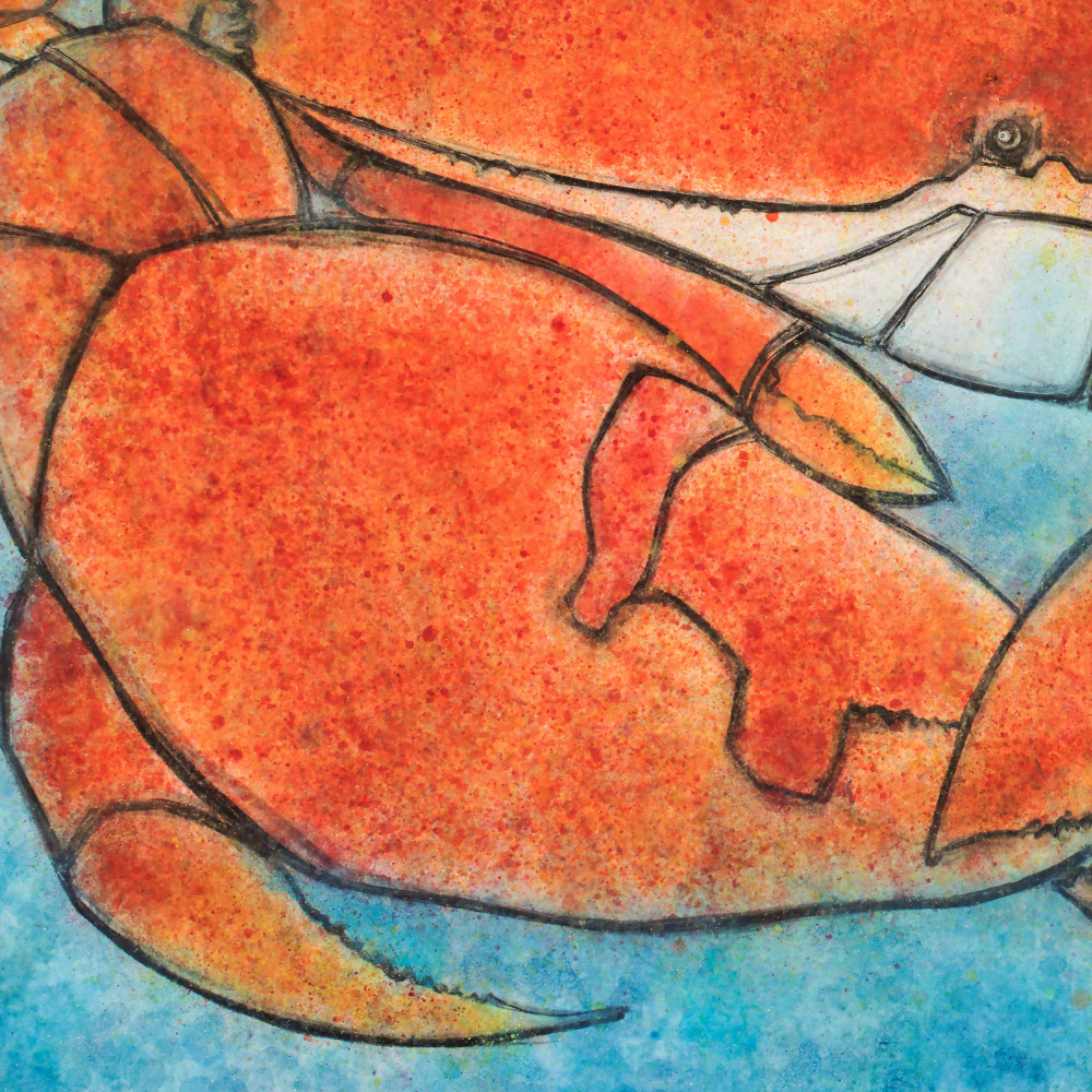 Crab limited edition print by Seth B. Minkin